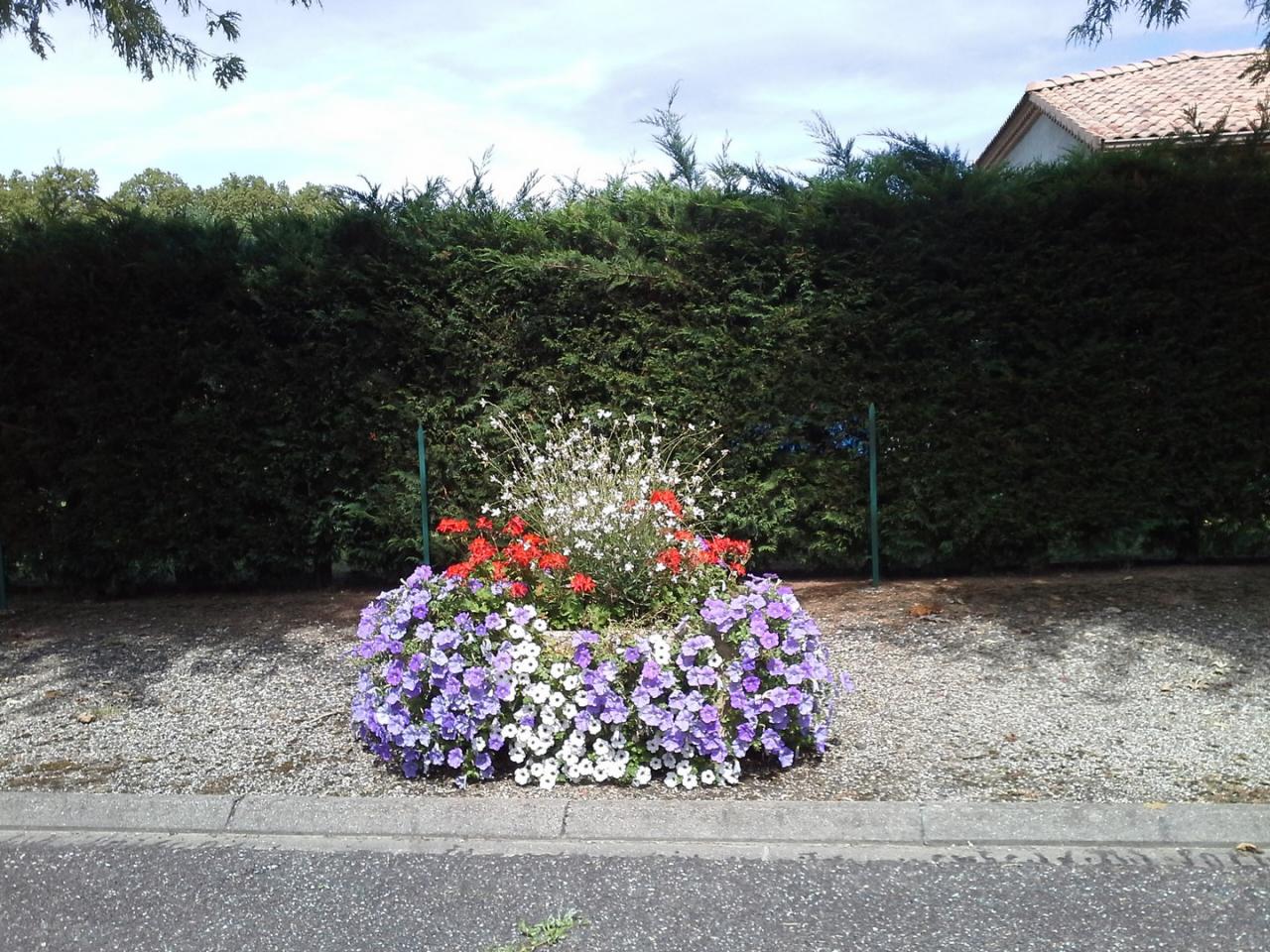 Les fleurs (6)